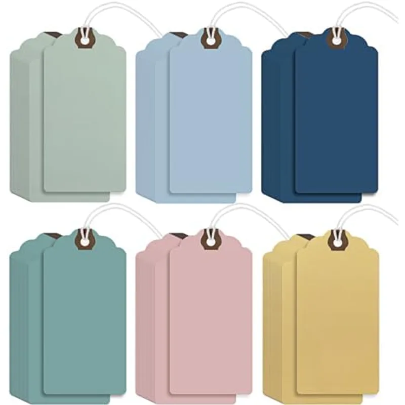 Outus 60 Pcs Blank Large Paper Gift Tags, Morandi Colors, 2 3/4" × 1 3/8"